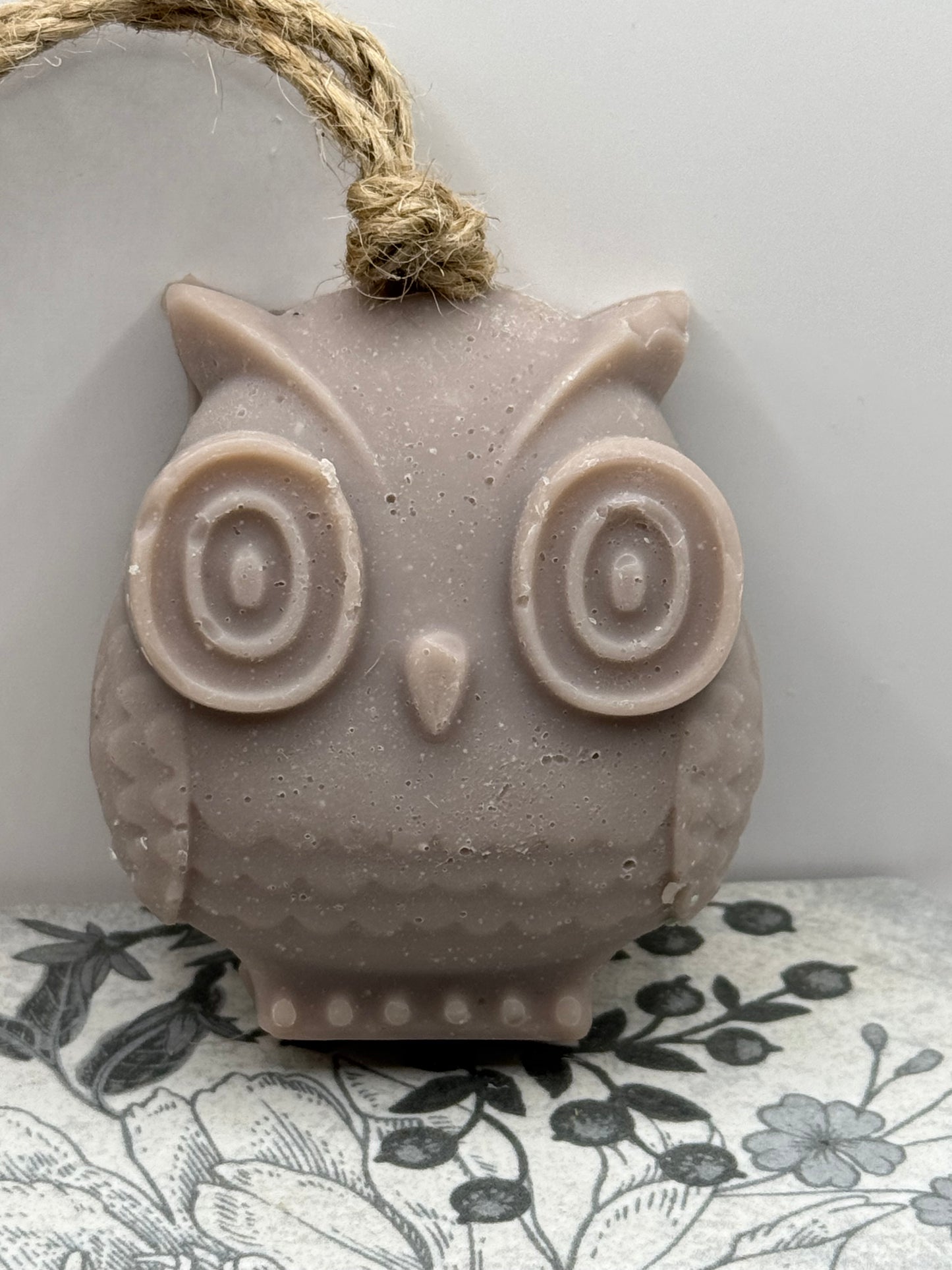 Owl on a Rope
