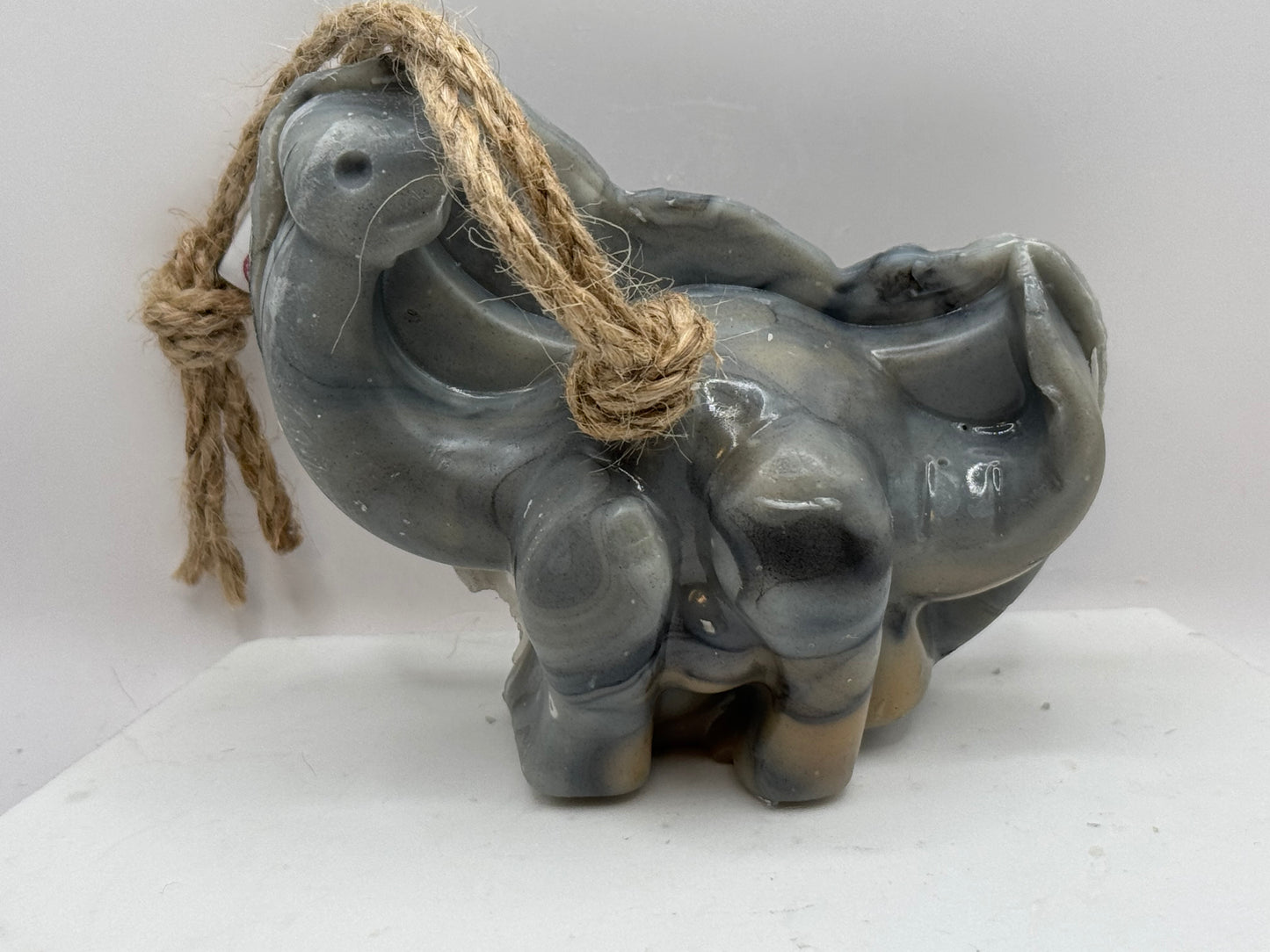 Dinosaur Soap on a Rope
