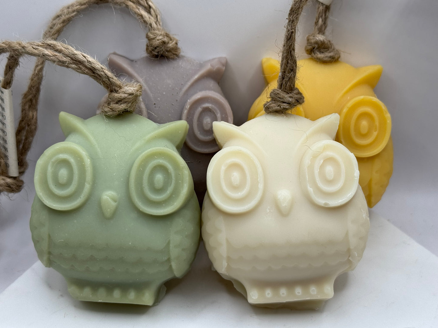 Owl on a Rope