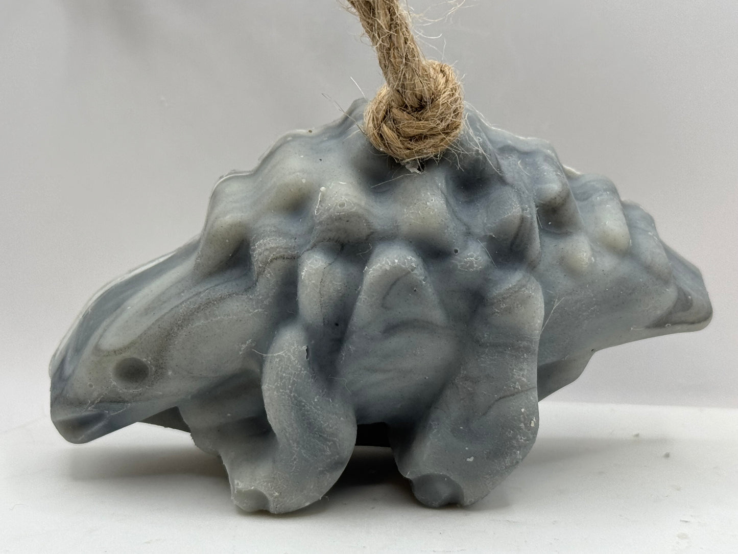 Dinosaur Soap on a Rope