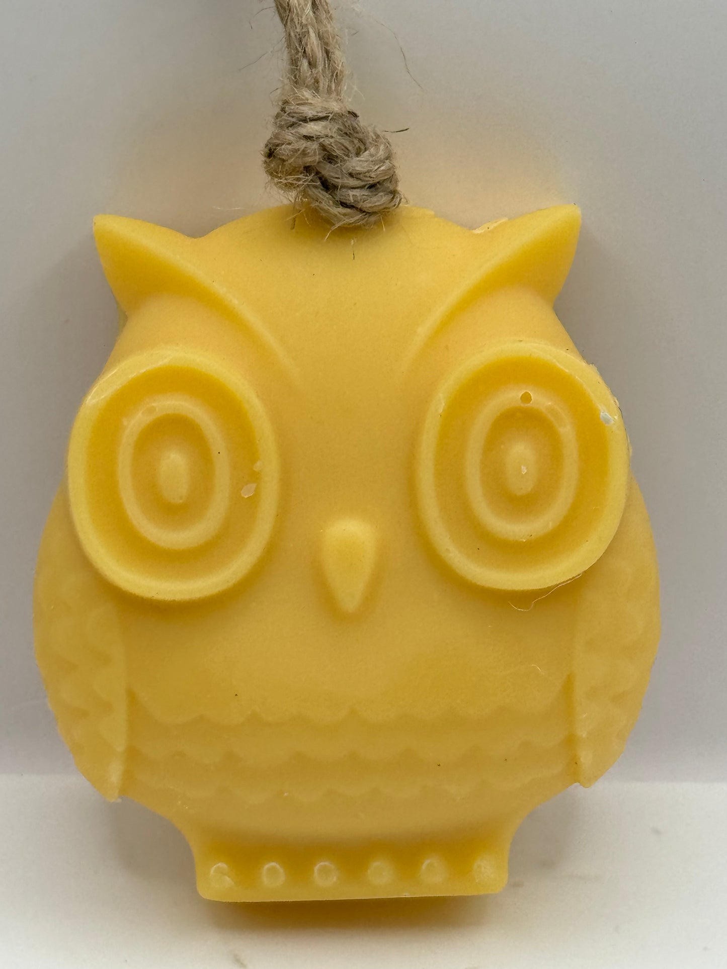 Owl on a Rope