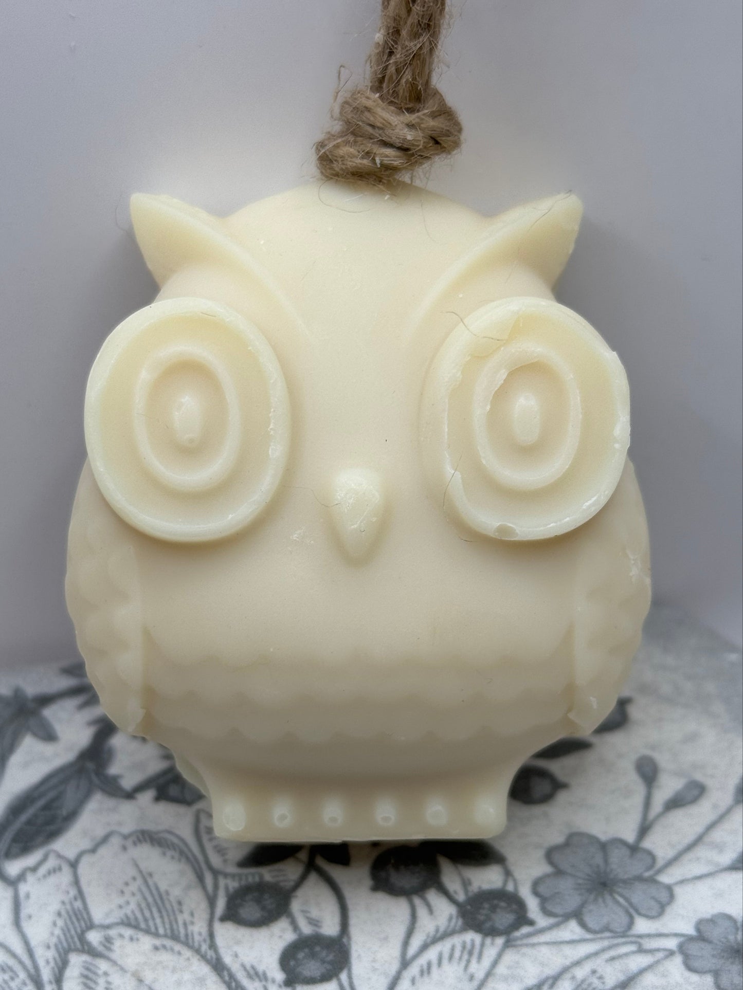 Owl on a Rope