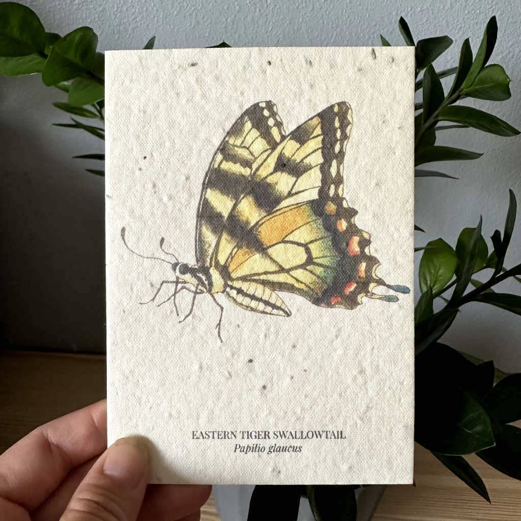 Eastern Tiger Swallowtail Plantable Wildflower Seed Greeting Card
