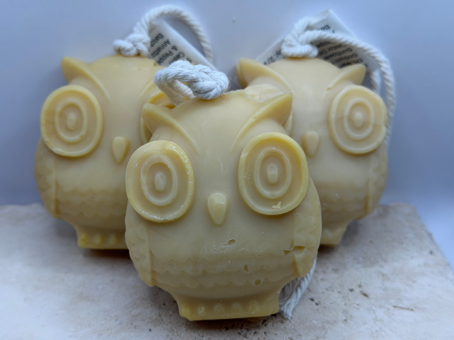 Owl on a Rope