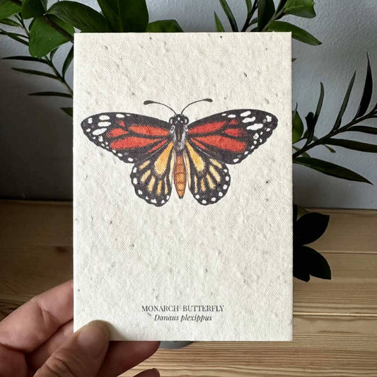 Plantable Wildflower Seed Greeting Card