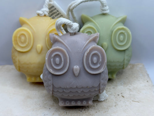 Owl on a Rope