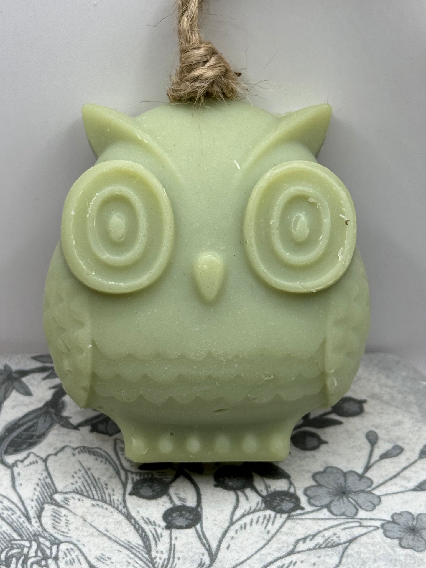 Owl on a Rope