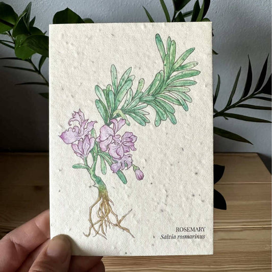 Rosemary Plantable Wildflower Seed Greeting Card