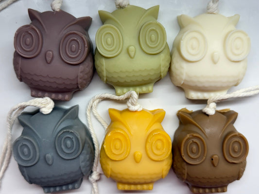 Owl on a Rope