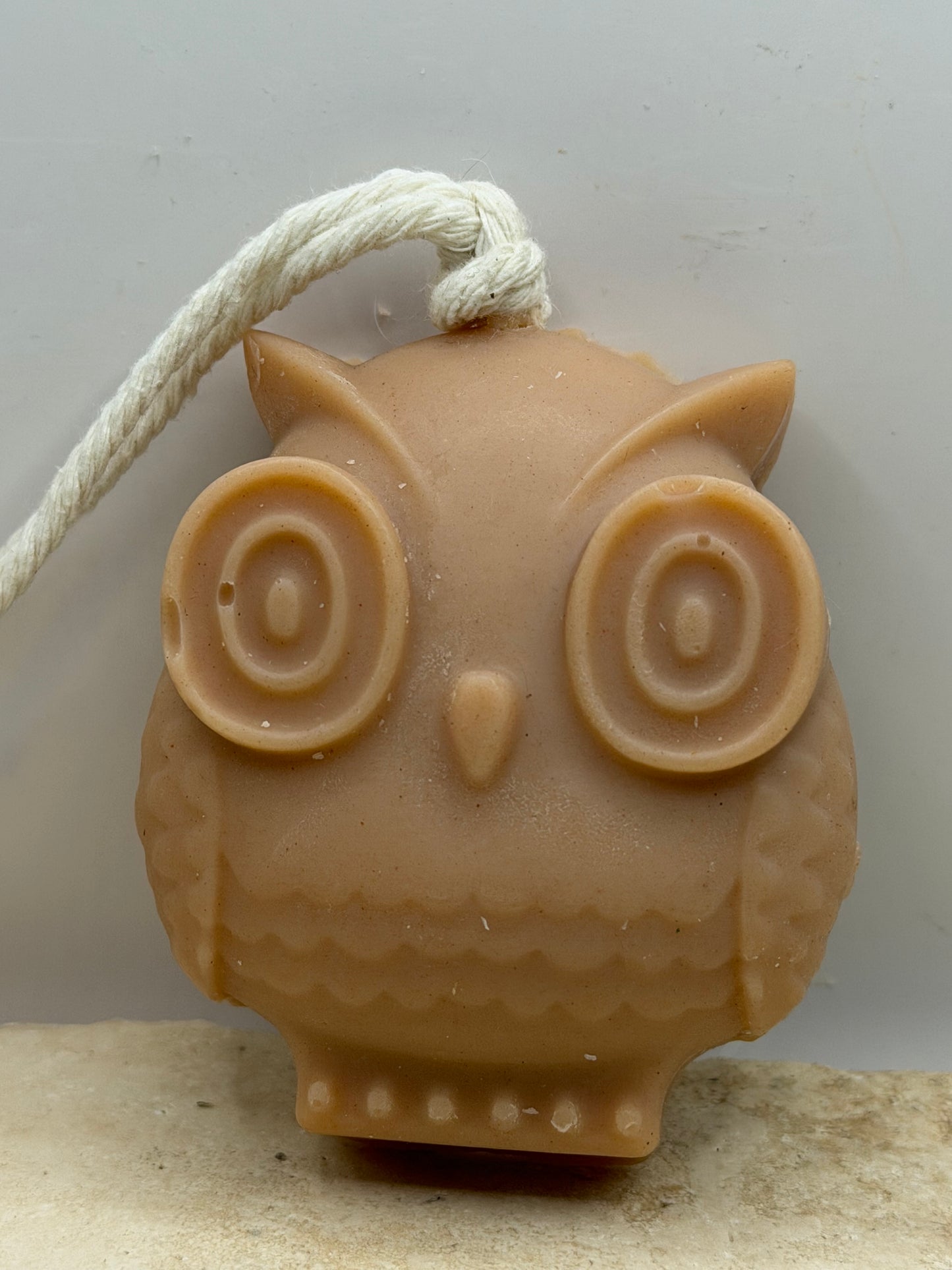 Owl on a Rope