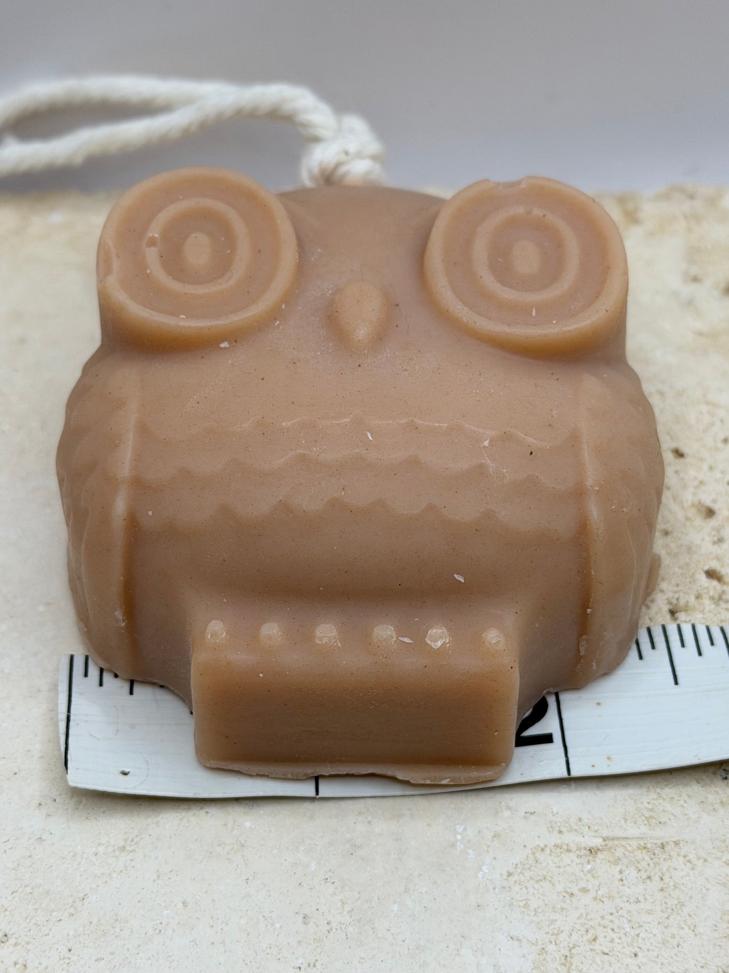 Owl on a Rope