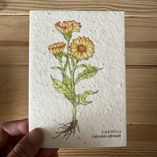 Calendula Plantable Wildflower Seed Greeting Card