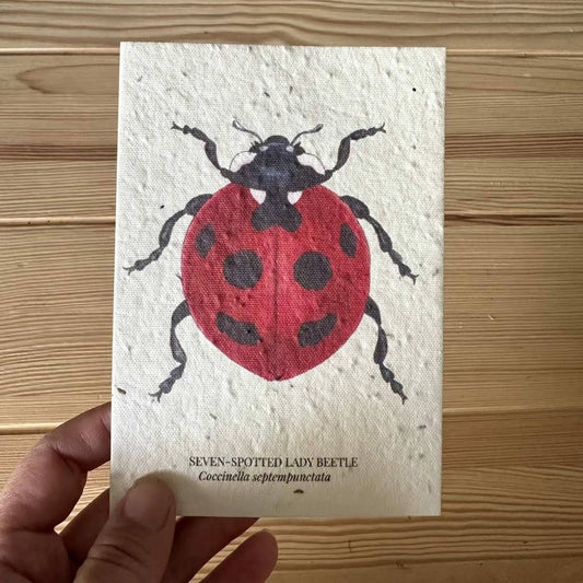 Ladybug Plantable Wildflower Seed Greeting Card